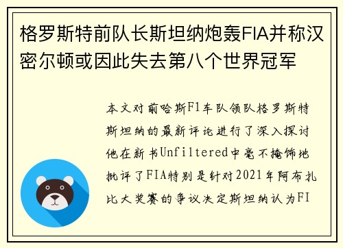 格罗斯特前队长斯坦纳炮轰FIA并称汉密尔顿或因此失去第八个世界冠军